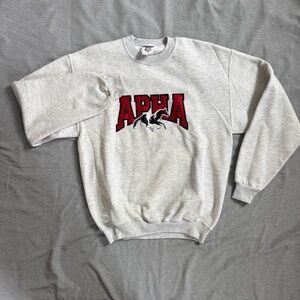 Vintage APHA Paint Horse Sweatshirt | Gray M Jerzees NuBlend Unisex
